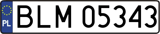 BLM05343