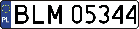 BLM05344