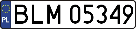 BLM05349