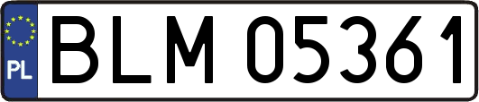 BLM05361