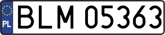 BLM05363