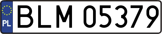 BLM05379