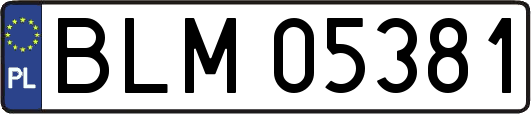 BLM05381