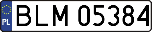 BLM05384