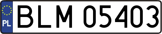BLM05403