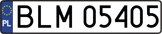 BLM05405