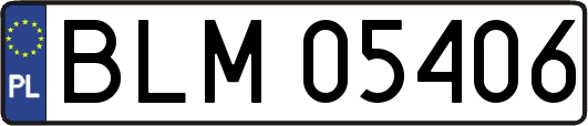BLM05406