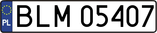 BLM05407