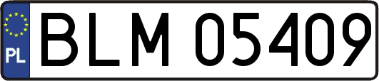 BLM05409