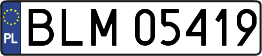 BLM05419