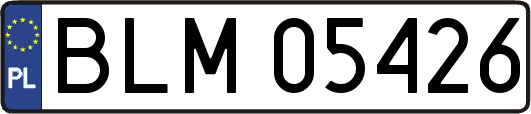 BLM05426