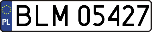 BLM05427