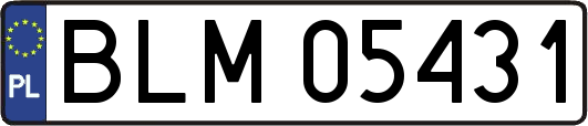BLM05431