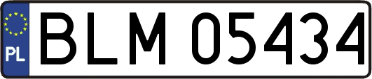 BLM05434