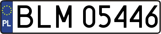 BLM05446