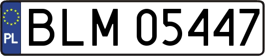 BLM05447