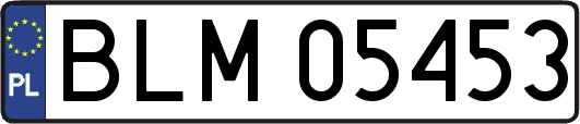 BLM05453