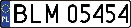 BLM05454