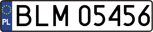 BLM05456