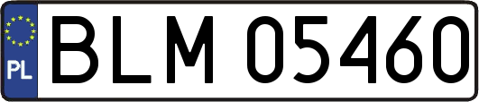 BLM05460