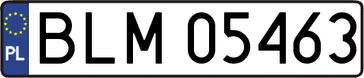 BLM05463