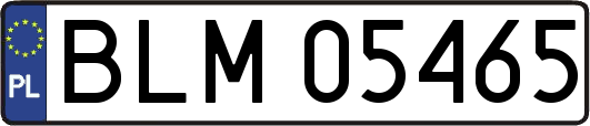 BLM05465