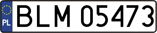 BLM05473