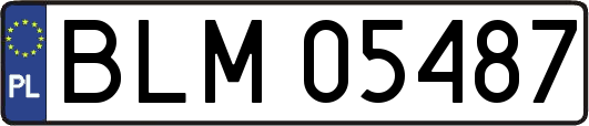 BLM05487