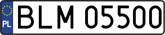 BLM05500