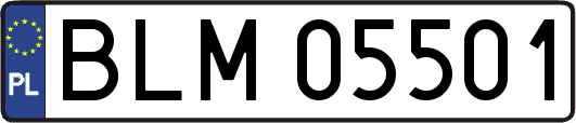 BLM05501