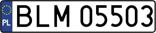 BLM05503