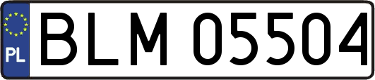 BLM05504