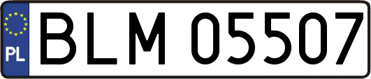 BLM05507
