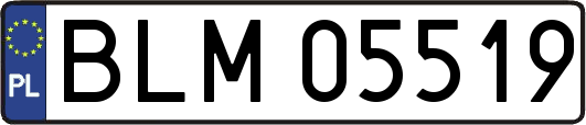 BLM05519