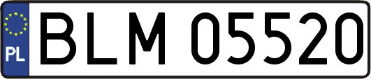 BLM05520