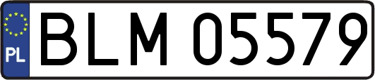 BLM05579