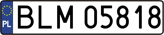 BLM05818