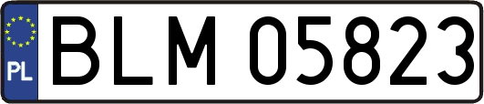 BLM05823