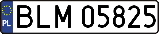 BLM05825
