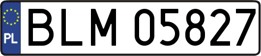 BLM05827