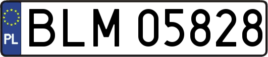 BLM05828