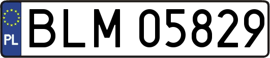 BLM05829