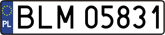 BLM05831