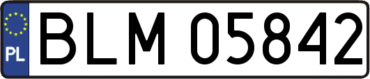 BLM05842