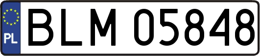 BLM05848
