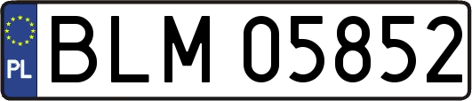 BLM05852