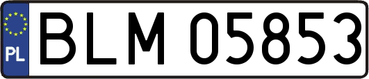 BLM05853