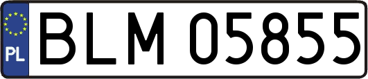 BLM05855