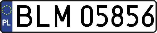 BLM05856
