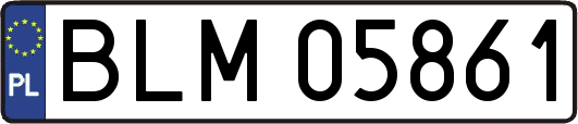 BLM05861